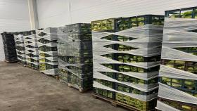 Фермер из Татарстана просит остановить импорт салата и смородины